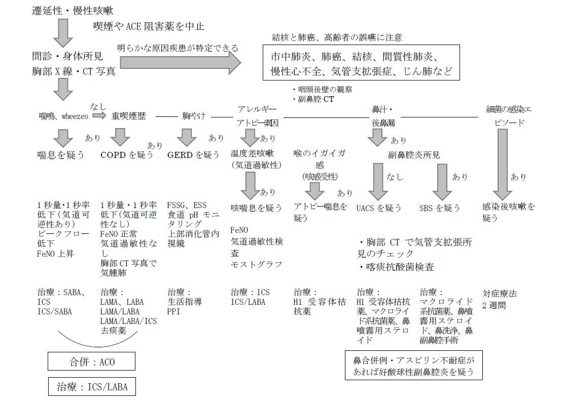 シクレソニド 商品 名